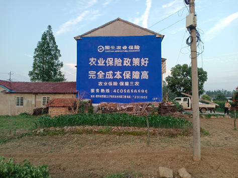 宜黄墙体广告为何受追捧?